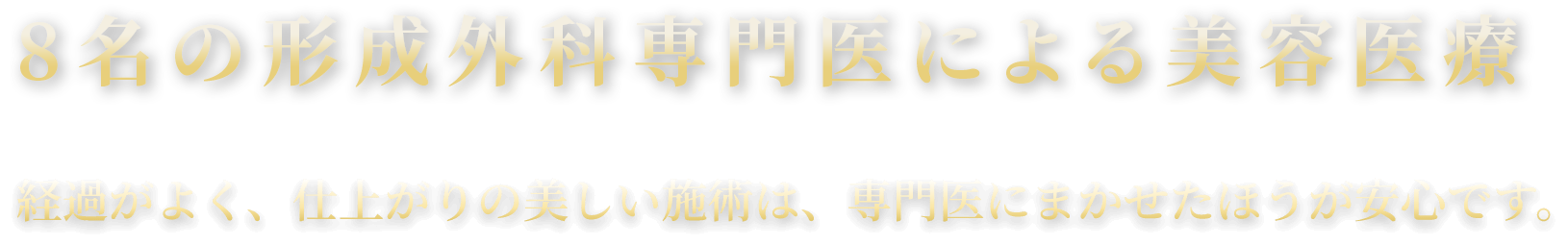 8名の形成外科専⾨医による美容医療